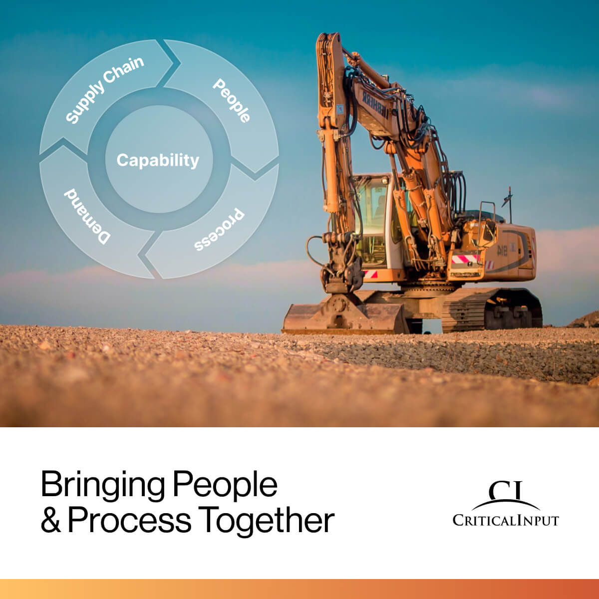 Critical Input: Bringing People and Process Together 