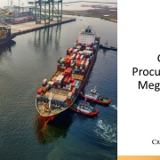 Global Procurement for Mega Projects