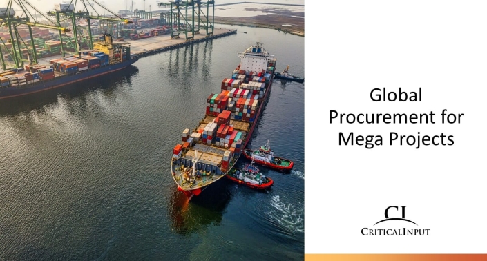 Global Procurement for Mega Projects