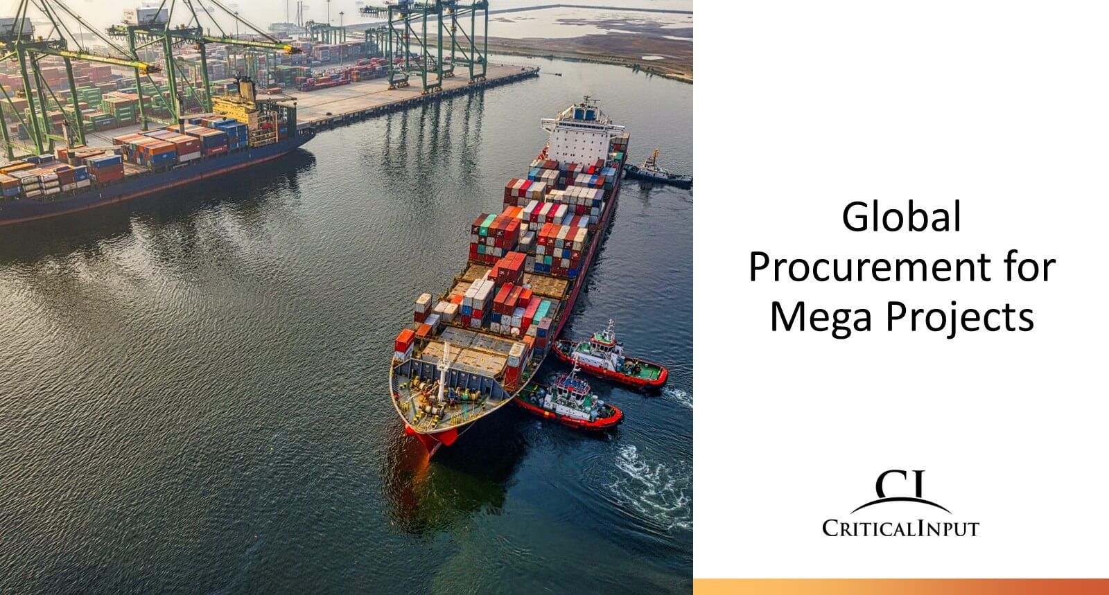 Global Procurement for Mega Projects